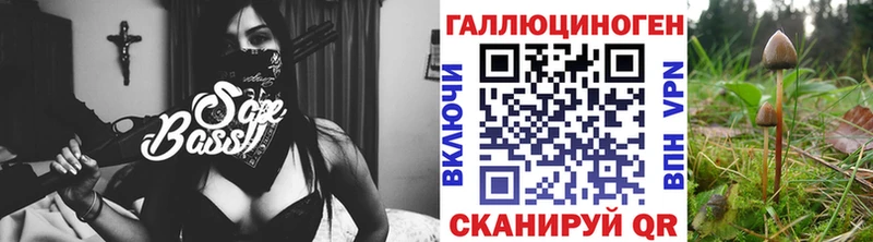 как найти закладки  Балаково  Псилоцибиновые грибы Psilocybe 