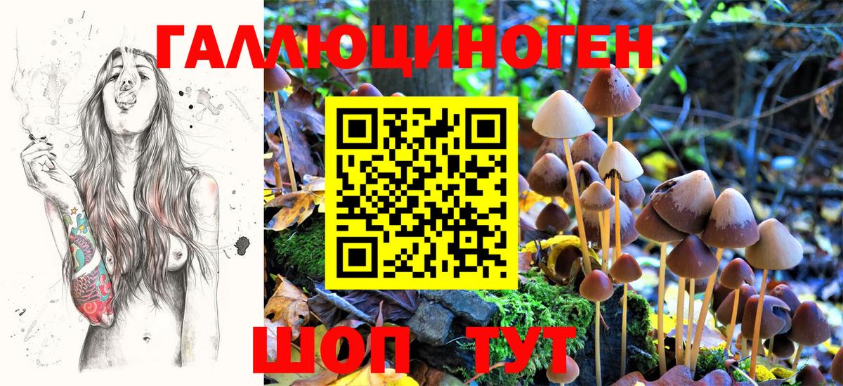 Псилоцибиновые грибы мицелий  Галлюциногенные грибы Psilocybe  Балаково  Вход с VPN 